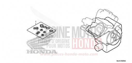 GASKET KIT B VT750C2BE de 2014